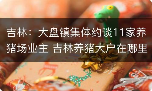 吉林：大盘镇集体约谈11家养猪场业主 吉林养猪大户在哪里