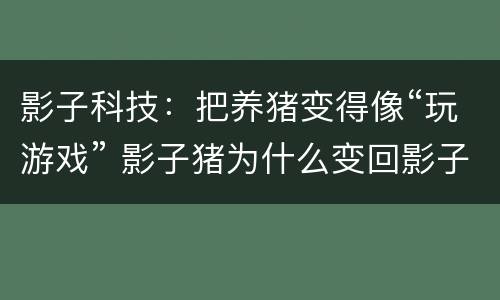 影子科技：把养猪变得像“玩游戏” 影子猪为什么变回影子