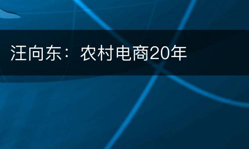 汪向东：农村电商20年