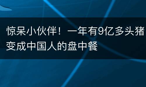 惊呆小伙伴！一年有9亿多头猪变成中国人的盘中餐