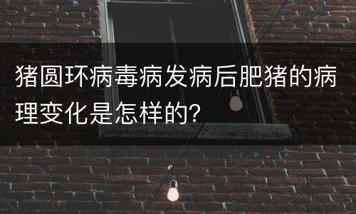 猪圆环病毒病发病后肥猪的病理变化是怎样的？
