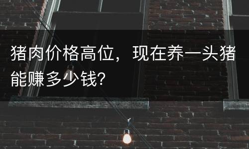 猪肉价格高位，现在养一头猪能赚多少钱？