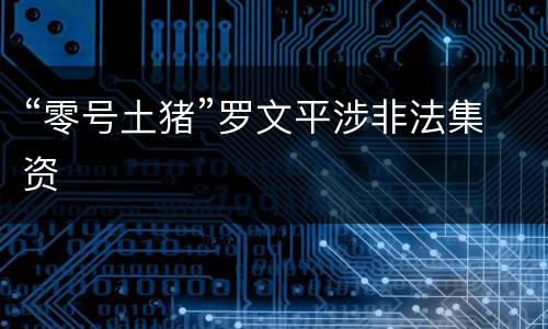 “零号土猪”罗文平涉非法集资