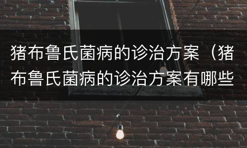 猪布鲁氏菌病的诊治方案（猪布鲁氏菌病的诊治方案有哪些）