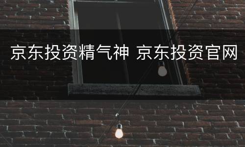京东投资精气神 京东投资官网