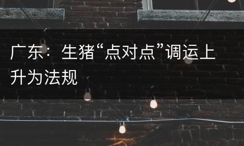 广东：生猪“点对点”调运上升为法规