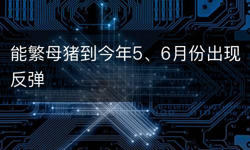 能繁母猪到今年5、6月份出现反弹