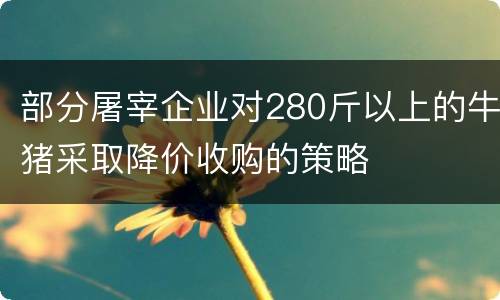 部分屠宰企业对280斤以上的牛猪采取降价收购的策略