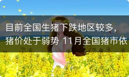 目前全国生猪下跌地区较多，猪价处于弱势 11月全国猪市依旧看好