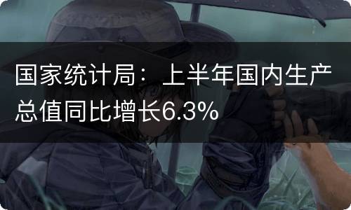 国家统计局：上半年国内生产总值同比增长6.3%