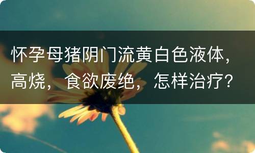 怀孕母猪阴门流黄白色液体，高烧，食欲废绝，怎样治疗？