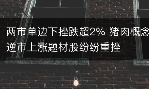 两市单边下挫跌超2% 猪肉概念逆市上涨题材股纷纷重挫