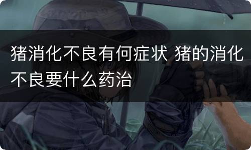 猪消化不良有何症状 猪的消化不良要什么药治