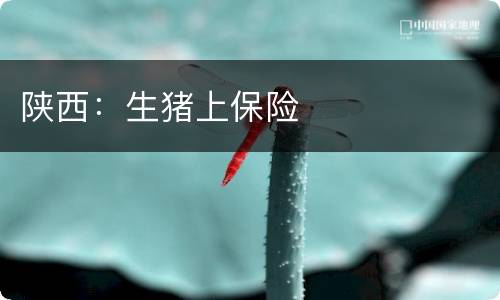 陕西：生猪上保险