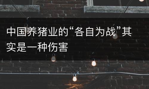 中国养猪业的“各自为战”其实是一种伤害