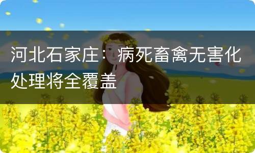 河北石家庄：病死畜禽无害化处理将全覆盖