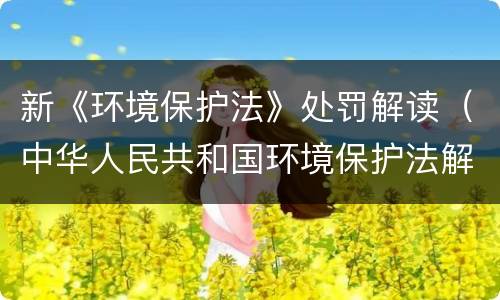 新《环境保护法》处罚解读（中华人民共和国环境保护法解读）
