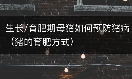 生长/育肥期母猪如何预防猪病（猪的育肥方式）