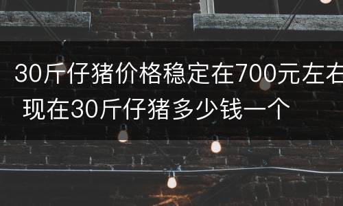 30斤仔猪价格稳定在700元左右 现在30斤仔猪多少钱一个