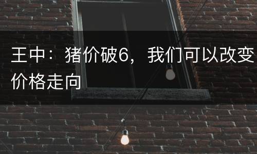 王中：猪价破6，我们可以改变价格走向