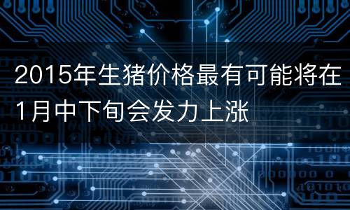 2015年生猪价格最有可能将在1月中下旬会发力上涨