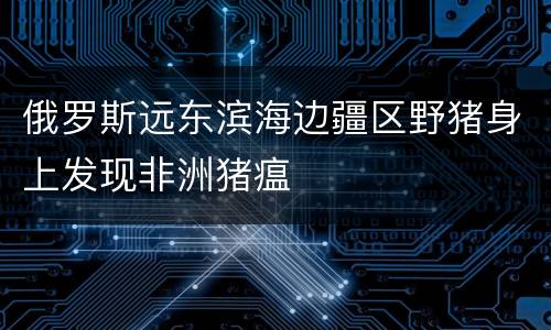 俄罗斯远东滨海边疆区野猪身上发现非洲猪瘟