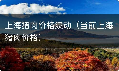 上海猪肉价格波动（当前上海猪肉价格）