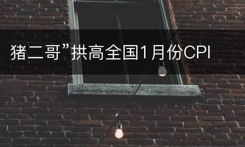 猪二哥”拱高全国1月份CPI