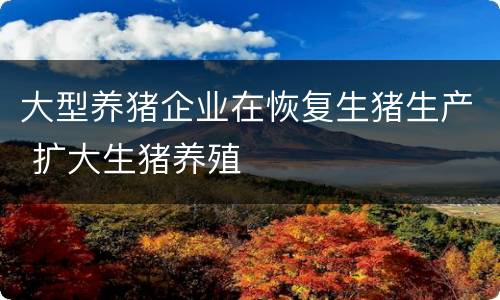 大型养猪企业在恢复生猪生产 扩大生猪养殖