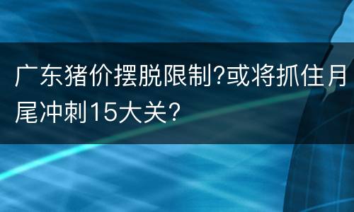 广东猪价摆脱限制?或将抓住月尾冲刺15大关?