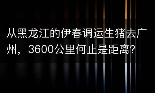 从黑龙江的伊春调运生猪去广州，3600公里何止是距离？