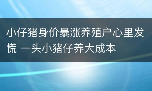小仔猪身价暴涨养殖户心里发慌 一头小猪仔养大成本