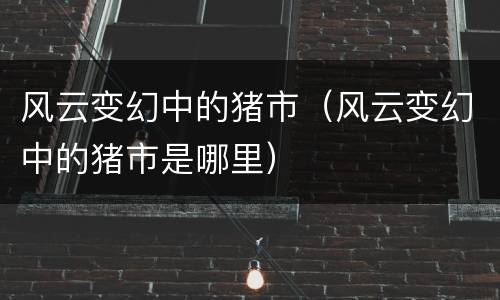 风云变幻中的猪市（风云变幻中的猪市是哪里）