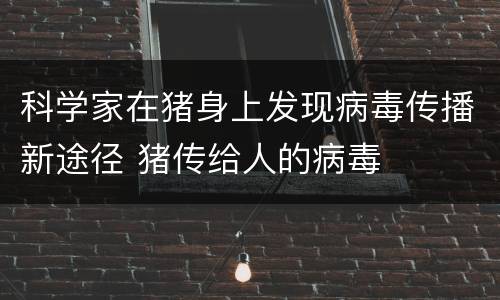 科学家在猪身上发现病毒传播新途径 猪传给人的病毒