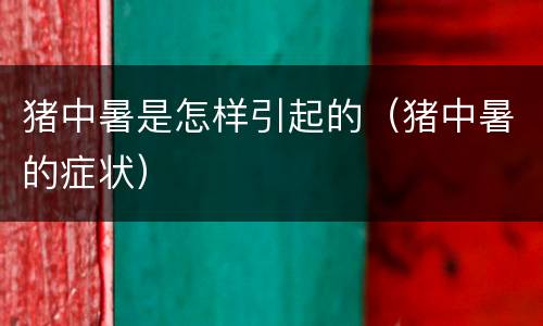 猪中暑是怎样引起的（猪中暑的症状）