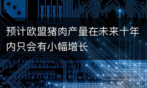 预计欧盟猪肉产量在未来十年内只会有小幅增长