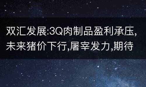 双汇发展:3Q肉制品盈利承压,未来猪价下行,屠宰发力,期待4Q业绩反