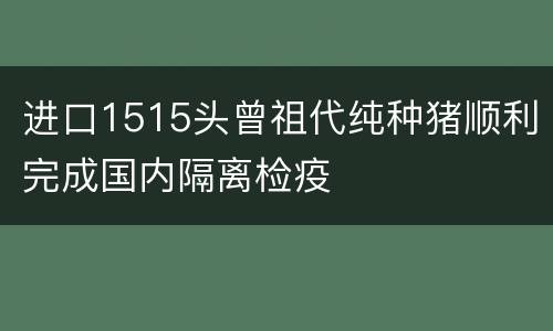 进口1515头曾祖代纯种猪顺利完成国内隔离检疫