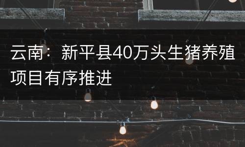 云南：新平县40万头生猪养殖项目有序推进