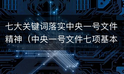 七大关键词落实中央一号文件精神（中央一号文件七项基本原则）