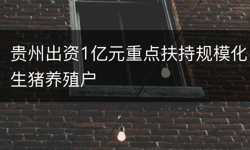贵州出资1亿元重点扶持规模化生猪养殖户