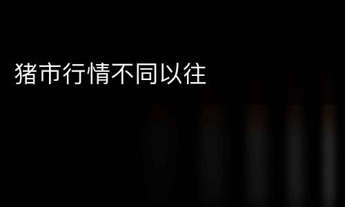 猪市行情不同以往