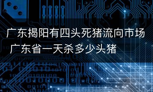 广东揭阳有四头死猪流向市场 广东省一天杀多少头猪