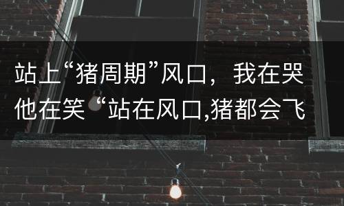 站上“猪周期”风口，我在哭他在笑 “站在风口,猪都会飞起来”,设计师该如何借势而为?