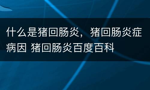 什么是猪回肠炎，猪回肠炎症病因 猪回肠炎百度百科