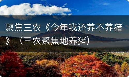 聚焦三农《今年我还养不养猪》（三农聚焦地养猪）