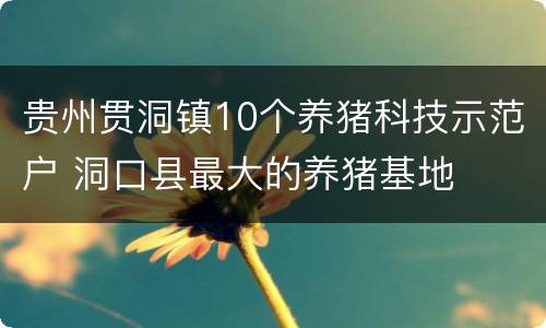 贵州贯洞镇10个养猪科技示范户 洞口县最大的养猪基地