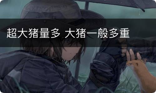 超大猪量多 大猪一般多重