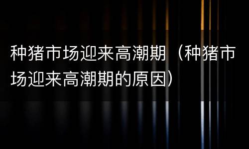 种猪市场迎来高潮期（种猪市场迎来高潮期的原因）