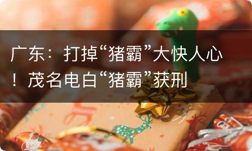 广东：打掉“猪霸”大快人心！茂名电白“猪霸”获刑